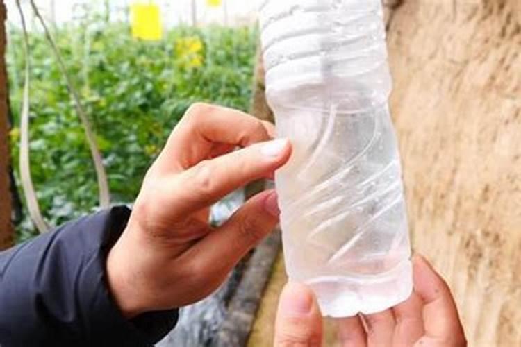 无花果钙肥可以用石灰吗