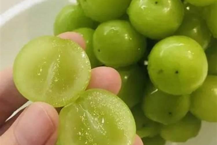 听说阳光玫瑰葡萄味道不错,有人吃过吗？
