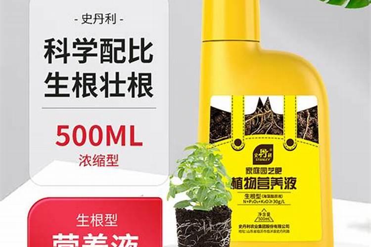 花卉生根用氮肥还是磷肥,花卉施氮肥最好的方法