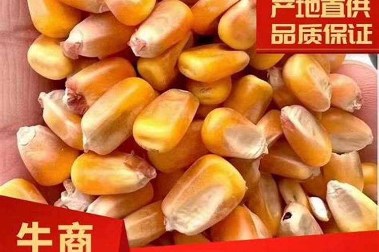 玉米控释肥十大品牌