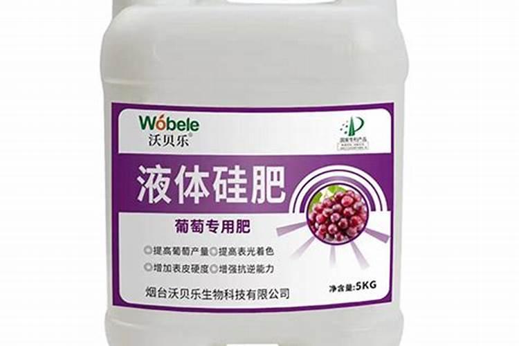 硅肥在大棚葡萄上什么时间用最好？