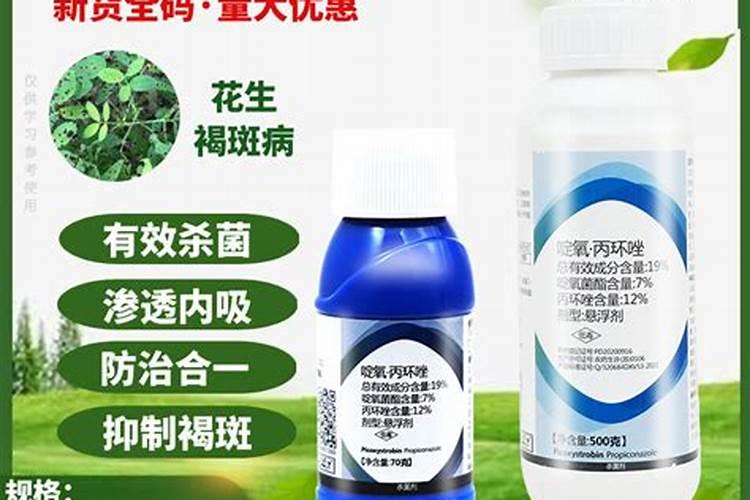 花椰菜叶片上白点怎么回事