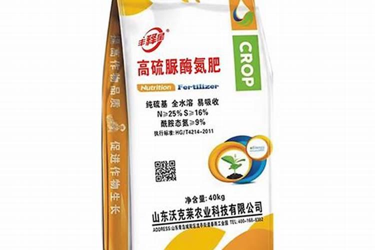 夏天浇水施肥什么