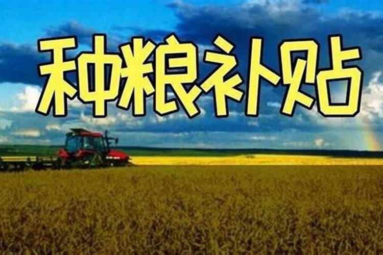 棉花施钾肥最佳时间 使用方法及注意事项