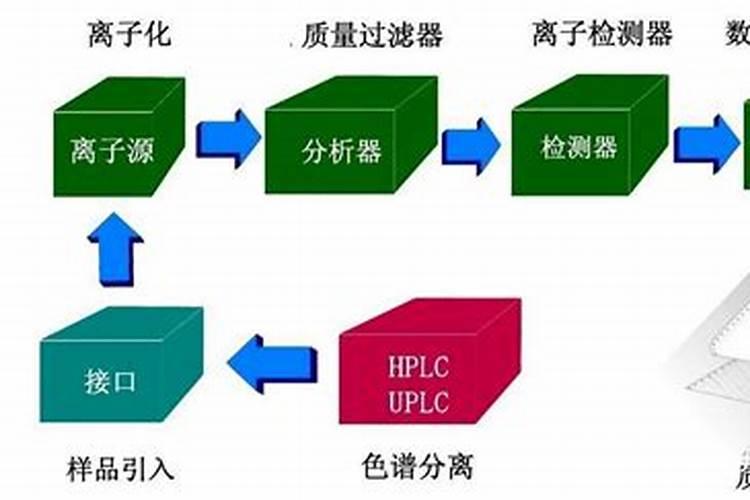 鱼蛋白胶囊鱼蛋白的成分及生理功效