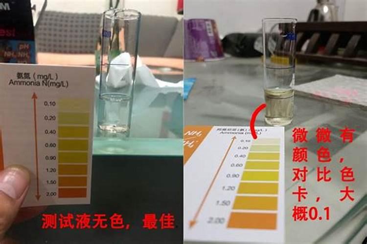 蛋白质含氮量