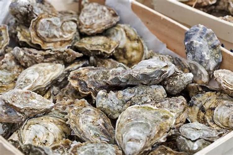 生蚝怎么也不会想到,它原本用来保护自己的壳,最后却成了装自己的碗...