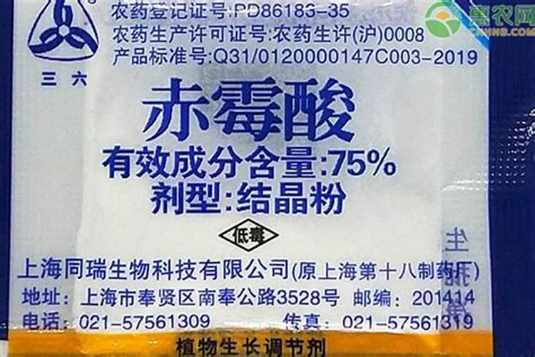 大棚黄瓜瓜打顶怎么治