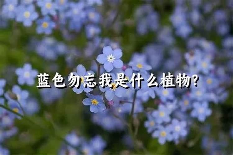 无土栽培蔬菜营养液配方中可供选择的铜肥有哪些？
