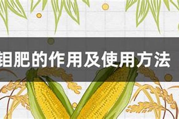 钼肥的作用及使用方法