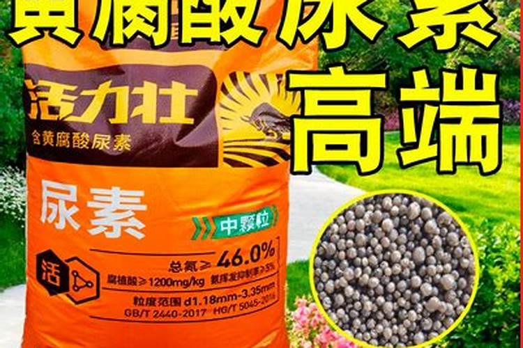生根粉可以兑水直接浇花吗