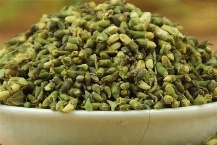 槐米怎么养 有哪些注意事项