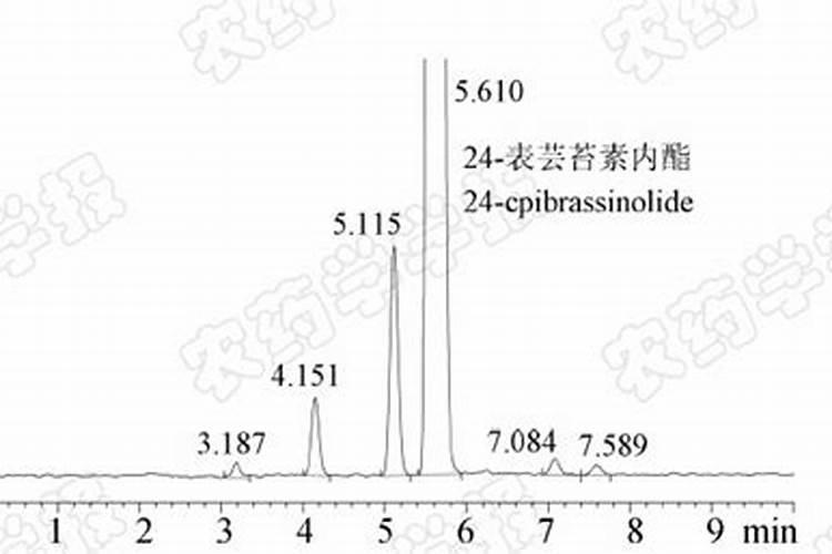 芸苔素内酯可以滴灌冲施吗一亩地冲是多少？