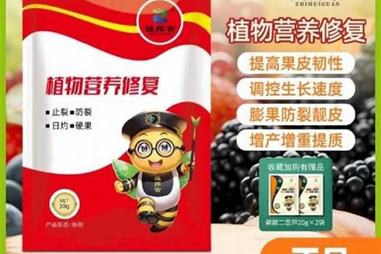 果树如何施肥才能更好的发挥肥效