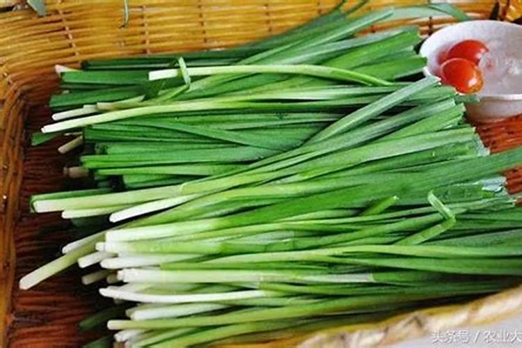 菲菜用什么肥料最好
