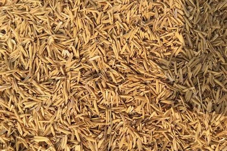 稻壳炭就是砻糠灰吗