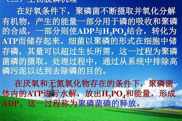 什么东西含磷可以做肥料、在家怎样自制磷肥