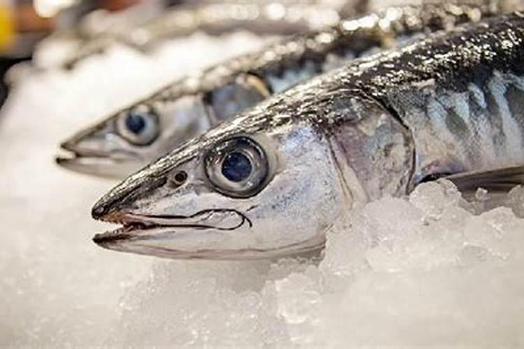 什么是大葱和韭菜钟爱的东西,时不时撒一撒？