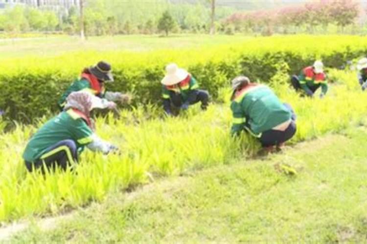 2022年对假肥料处罚规定