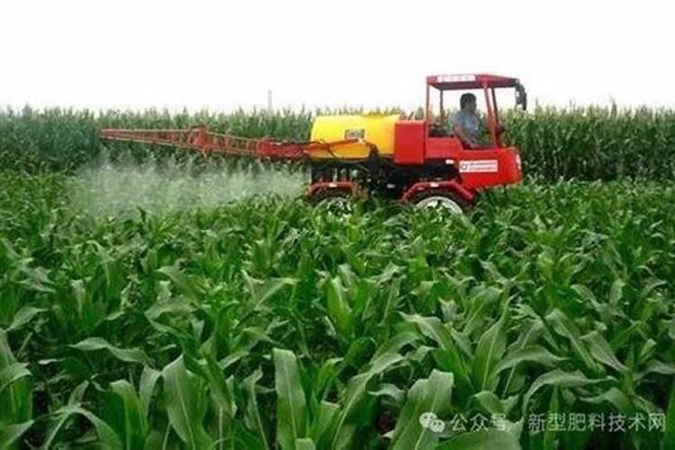 水稻杀虫剂杀菌剂能和叶面喷施吗