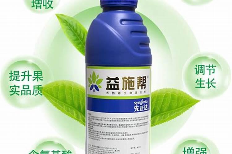 番茄上午喷叶面肥下午能浇地吗