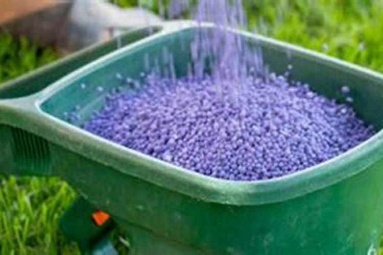 枝江市中心在哪里