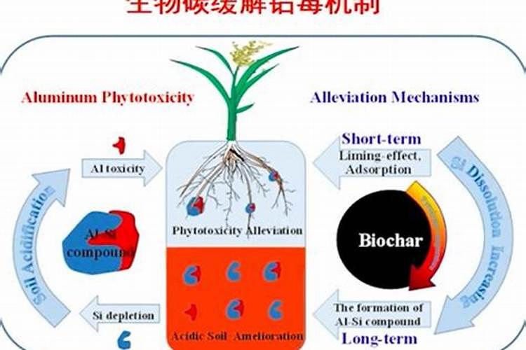种高粱用什么化肥好 怎么施肥效果好