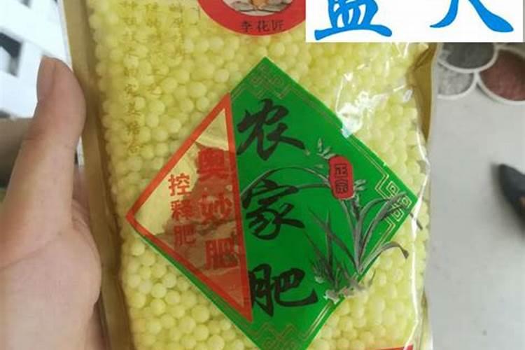 观叶植物施什么肥最好 适合用什么肥料
