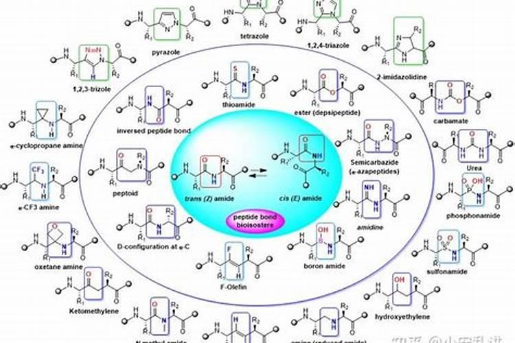 一盆花放几粒有机肥