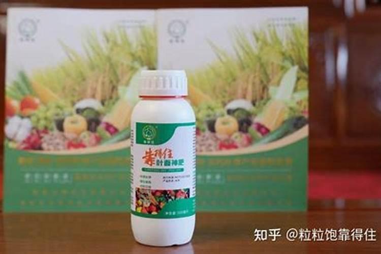 玉米几叶期打控旺剂最好