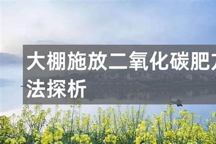 解密二氧化碳施肥技术在生态农业中的潜力