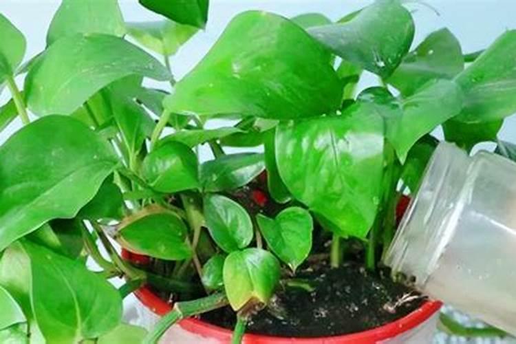 复合肥造粒工艺有哪些