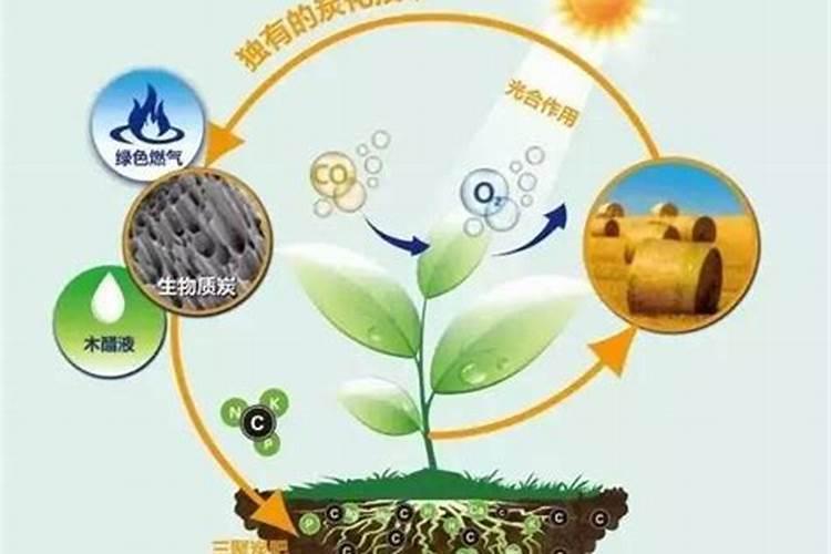 有知道禾百润叶面肥的吗,怎么样