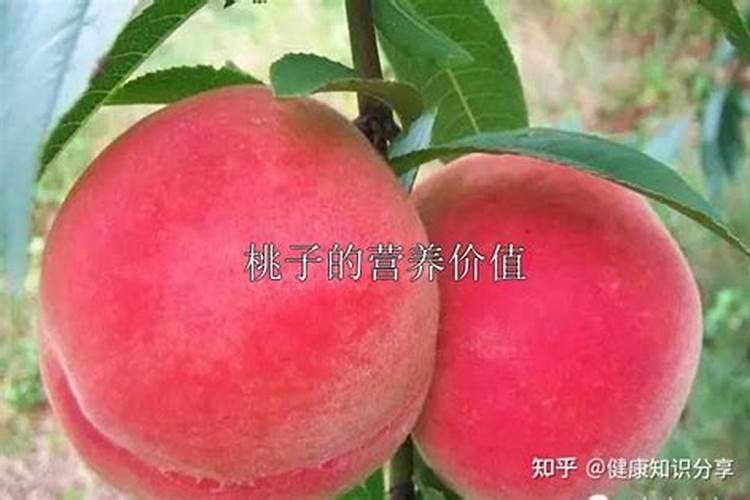 中化化肥十大品牌