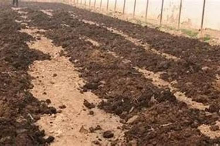 四氢呋喃的毒性有多大