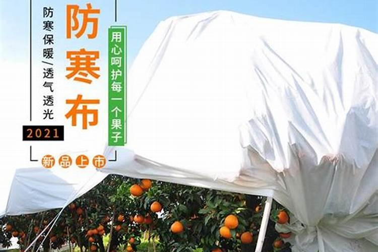 花芽分化用什么叶面肥