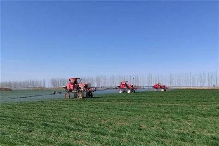 硅肥对作物的主要作用