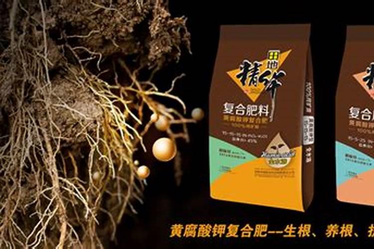 楚天化复合肥哪里有卖的