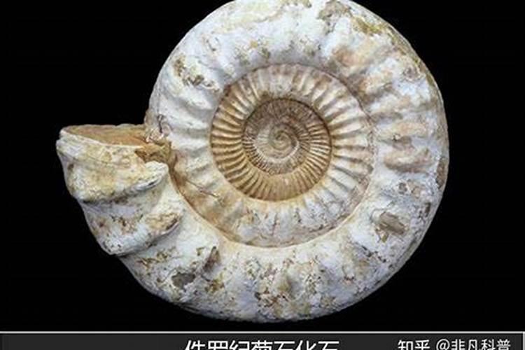 哪种钾肥最好(市面上常见都最好的钾肥是什么钾肥)