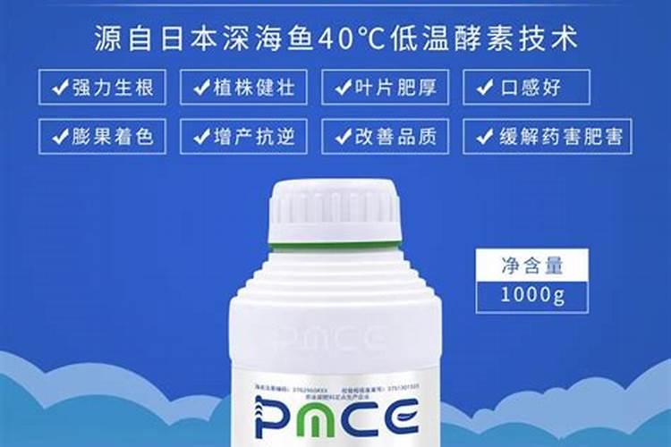 绣球花浇醋可以变成蓝色吗？