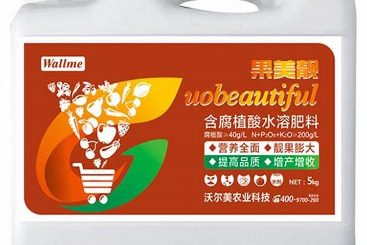 金桔怎么浇水