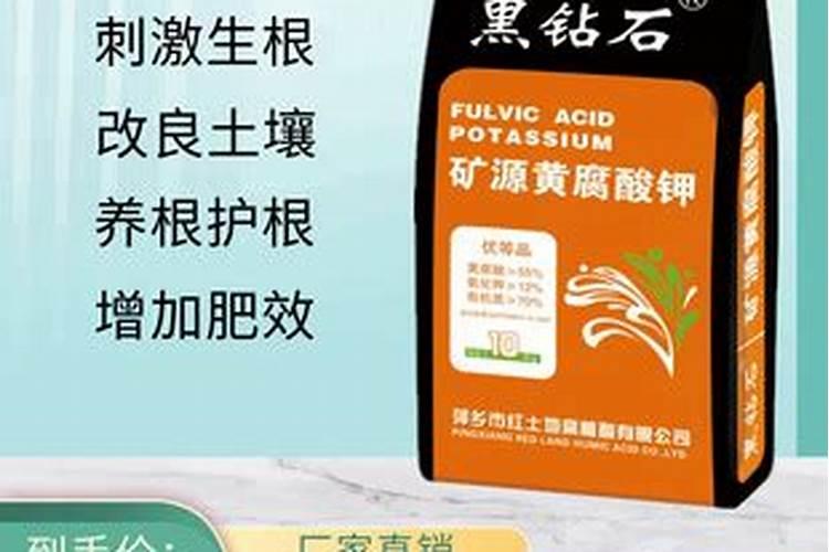 烟农1212小麦抗旱能力怎么样