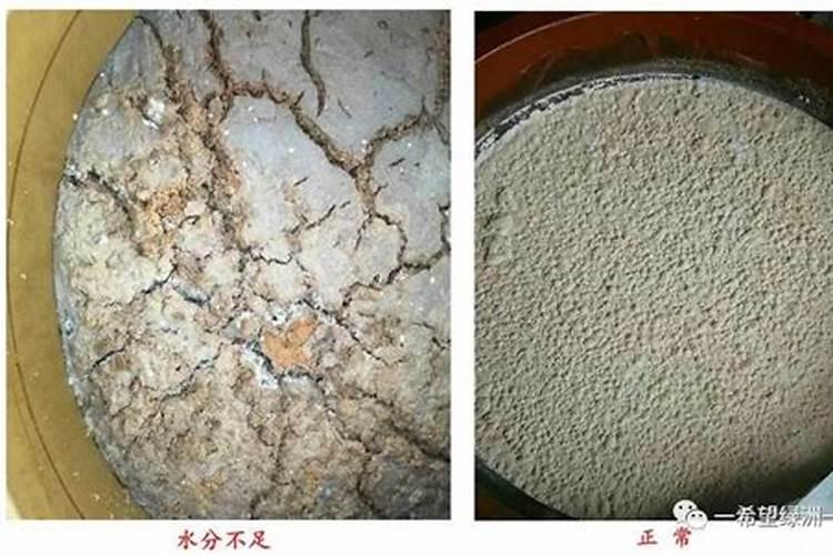 1斤花生麸水肥兑多少斤水