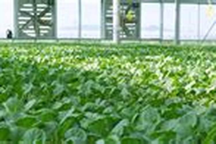 制药工业污染物排放标准