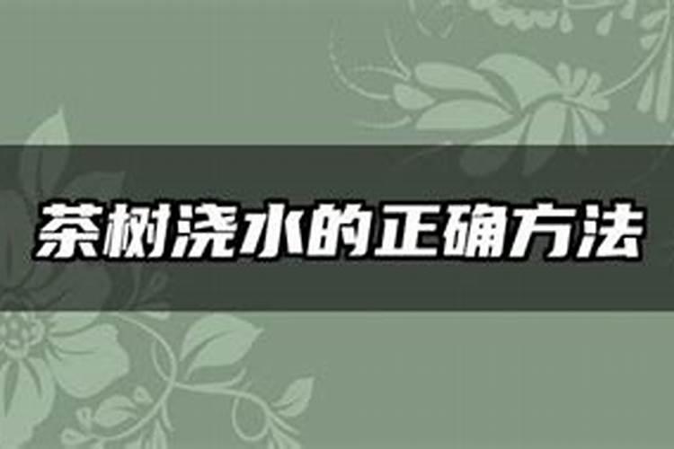茶叶叶面肥怎样施用才好