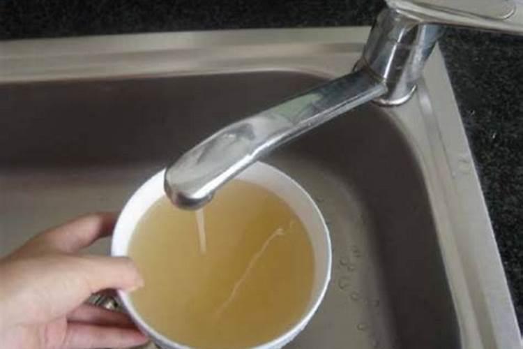 鱼池水变成黄绿色的水怎么办