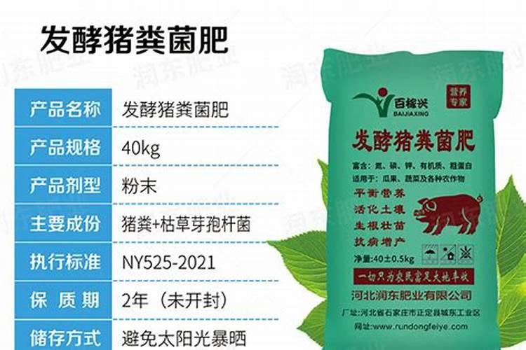 罗汉松换盆注意事项 换土换盆的方法与季节