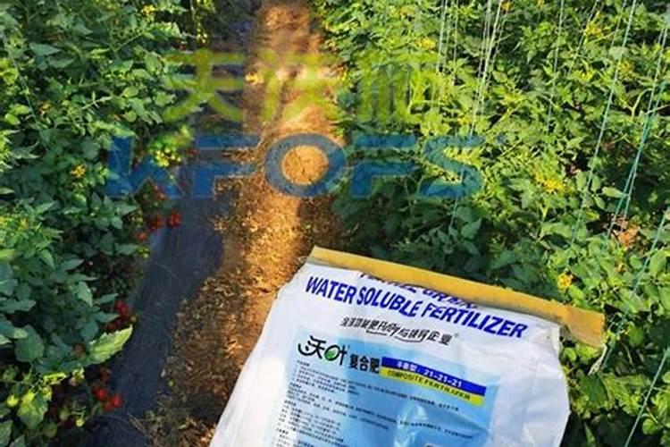 水溶性肥料受潮结块还能继续使用吗