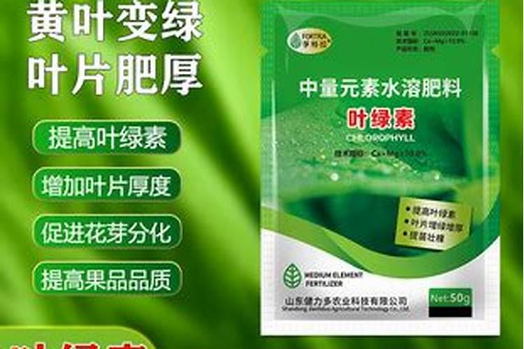 韭菜施什么肥料长的粗壮？韭菜可以收割几次？