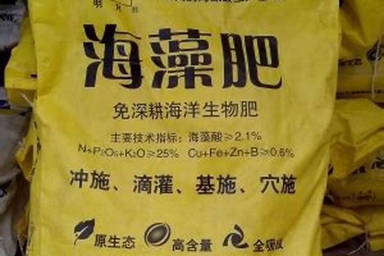 什么是根腐病
